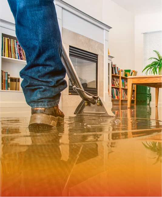 Water Damage & Mitigation